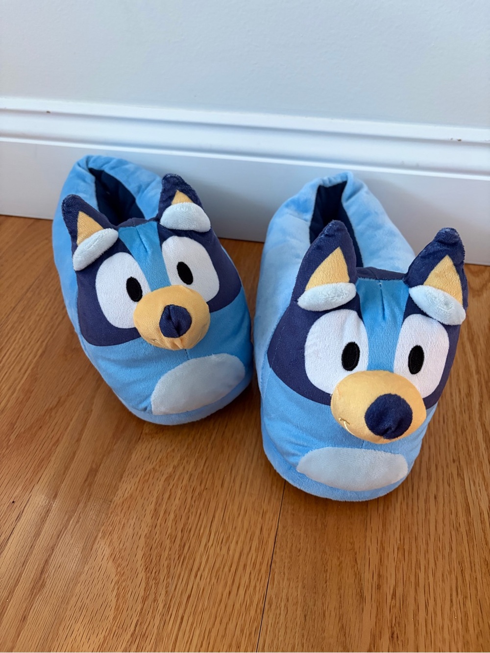Women's 9 • Bluey Slippers New without tags